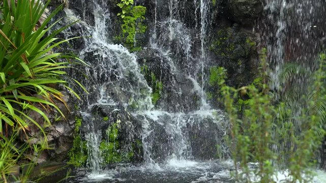 Garden Waterfall, Natural waterfall flowing over moss covered rocks with lush green plants, creating a refreshing and relaxing atmosphere. Ideal for travel, nature, and spa footage