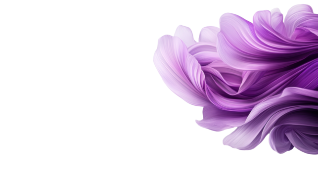 Purple Floral Abstract on Transparent Background