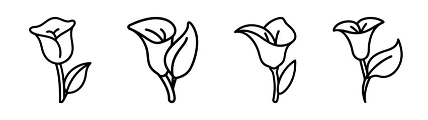 Four calla lily flower line art drawing vector illustration botanical floral design element clip art