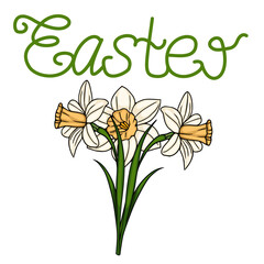 Whimsical vector illustration of delicate white daffodils with golden centers beneath a flowing green 