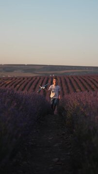 Boy airplane lavender field running launching toy plane into sky during summer sunset vertical video