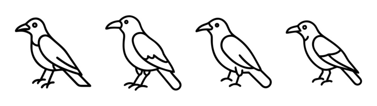Black and white line art drawing of crows ravens birds standing vector illustration design image