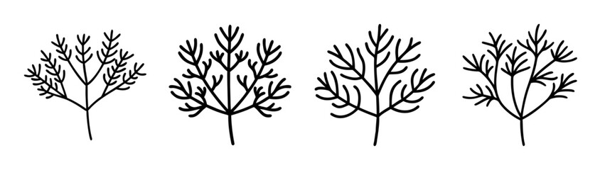 Set of four botanical line art illustrations of dill plants for minimalist design and decor ideas
