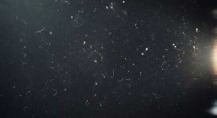 Microscopic View of Dust Particles and Fibers in Dark Environment with Light Flare