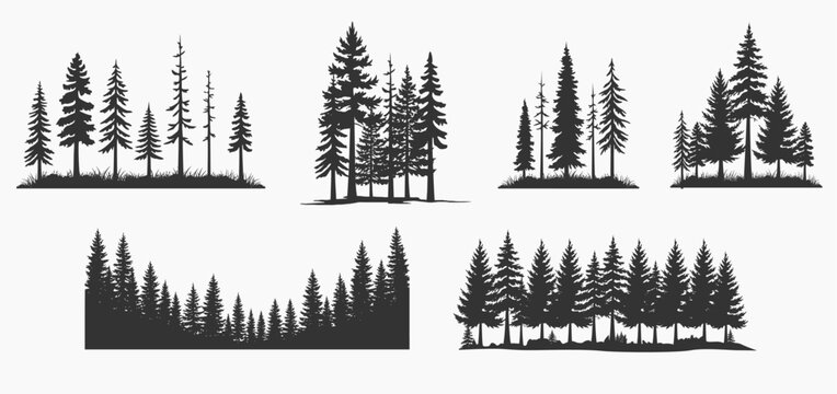 Bundle Forest Pine Landscape Vector Pack Including Evergreen Woodland Scenes, Conifer Tree Silhouettes, Nature Backgrounds and Outdoor Adventure Elements