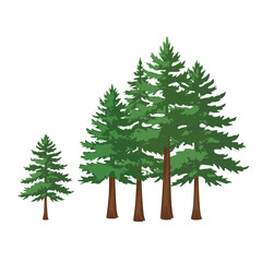 Conifer Pine Forest Vector Bundle with Scenic Woodland Backgrounds, Nature, Evergreen Trees and Outdoor Landscape Elements for Nature-Inspired Design Works