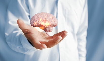 Doctor's Hand Holding Human Brain