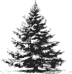 Christmas tree sketch, hand drawn pine with snow covered branches. Vector illustration