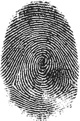 Fingerprint sketch hand drawn black lines isolated on white background. Vector illustration