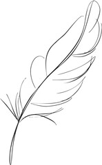 Feather sketch hand drawn style with simple curved lines and minimal detail. Vector illustration
