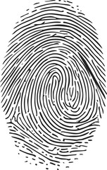 Fingerprint sketch hand drawn style with detailed whorl and ridge patterns. Vector illustration