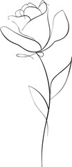 Rose flower sketch hand drawn line art with stem and leaves. Vector illustration