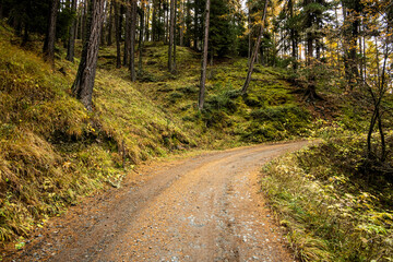 Gravel Road Turns Right Through A Peaceful Forest
