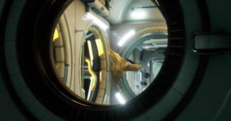 Scientific research is conducted inside the International Space Station with various materials floating in microgravity. The unique environment enables groundbreaking studies in space.