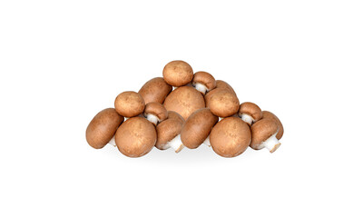 Fresh Brown Mushrooms – Fresh Organic Produce – Champignon Mushroom Isolated  on Transparent Background.  Fresh brown mushrooms arranged naturally - ideal for food packaging, cooking blogs, grocery ..
