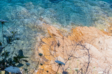 Top view of turquoise sea in Biodola beach (Elba Island, Italy)