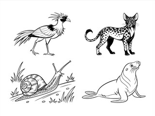 coloring page line art the animal black vector bundle