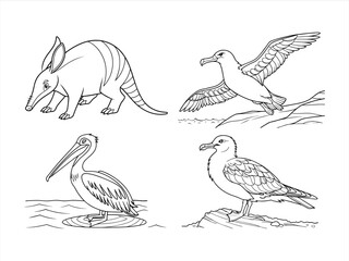 coloring page line art the animal black vector bundle