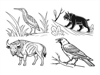 coloring page line art the animal black vector bundle