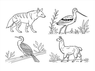 coloring page line art the animal black vector bundle
