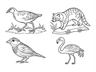 coloring page line art the animal black vector bundle