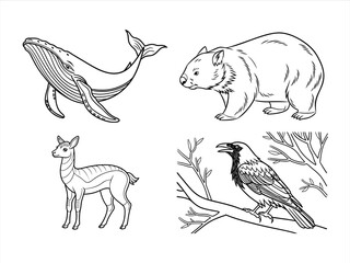 coloring page line art the animal black vector bundle