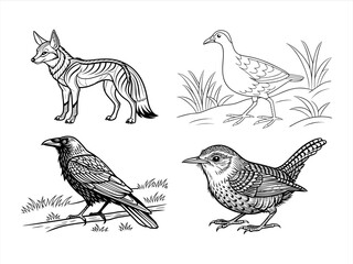 coloring page line art the animal black vector bundle