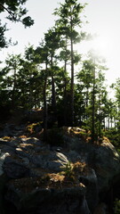 The sun shines through sparse trees on a rocky hill, casting shadows and highlighting the rugged terrain.