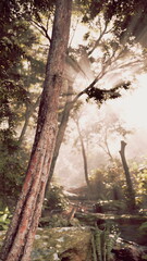The suns rays penetrate the dense tree canopy in a forest setting, creating a mesmerizing play of light and shadows.