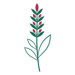 erica carnea flower line art on white background