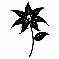  erythronium-japonicum-decne silhouette vector