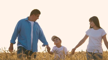 Smiling family man woman and boy son walking together on sunny dry wheat field. Happy mother father and kid child holding hands with love tenderness and best feelings at harvest farming countryside
