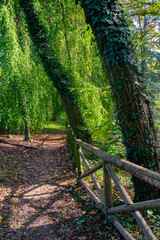 The Monza park at October