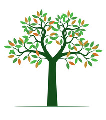 Obraz premium Green Spring Tree. Vector Illustration.