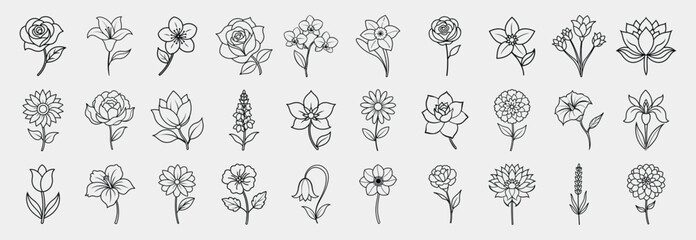 Popular Flowers Line Icons Set.  Rose, Tulip, Sunflower, Daisy, Lily, Lotus, Peony, Cherry Blossom, Hibiscus, Orchid, Daffodil, Marigold, Lavender, Jasmine, etc.