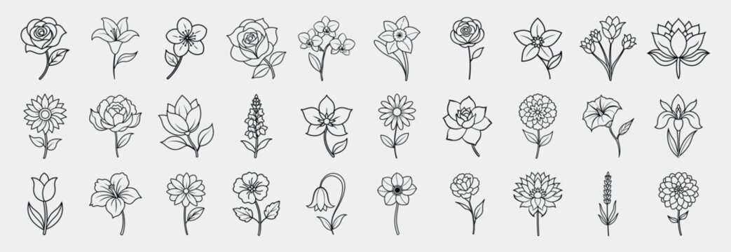 Popular Flowers Line Icons Set.  Rose, Tulip, Sunflower, Daisy, Lily, Lotus, Peony, Cherry Blossom, Hibiscus, Orchid, Daffodil, Marigold, Lavender, Jasmine, etc.