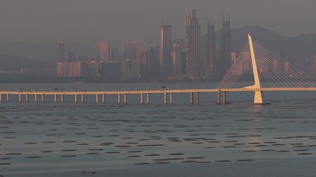 Shenzhen Bay Bridge and Lau Fau Shan Oyster Farm
