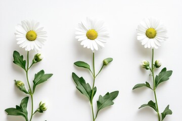 A serene landscape featuring a tranquil lake nestled amidst verdant hills, with a solitary figure standing on the shore, gazing into the water.