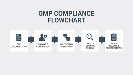 GMP Compliance Workflow Infographic – Good Manufacturing Practice Process Diagram