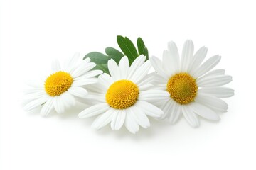 A serene landscape featuring a tranquil lake nestled amidst a lush expanse of greenery, with a solitary figure standing on the shore, gazing into the water.