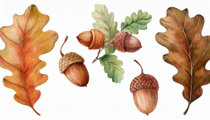 Watercolor Illustration Set Of Botanical Element Acorn Oak Leaf Cozy Autumn Design Whimsical Vintage Element In Cottagecore Style For Invitation Social Media And Posters