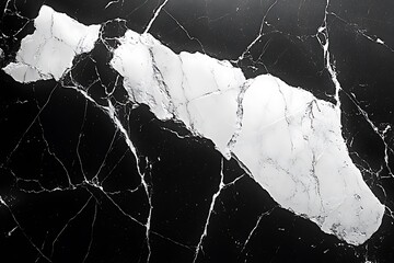 Black marble with striking white veins and a large central white irregular shape stone