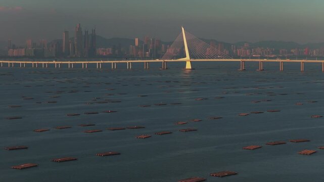 Shenzhen Bay Bridge and Lau Fau Shan Oyster Farm