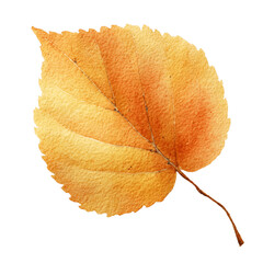 Naklejka premium Autumn leaf painted in soft ochre watercolor style isolated on white background with delicate brushwork and natural seasonal detail