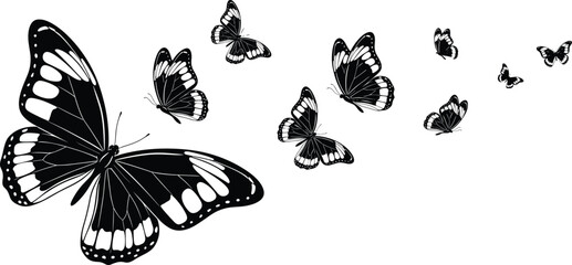 Black & white vector silhouette of monarch butterflies flying, elegant insect graphic design element, nature spring summer wings decorative artwork, isolated on white background © Shahariay