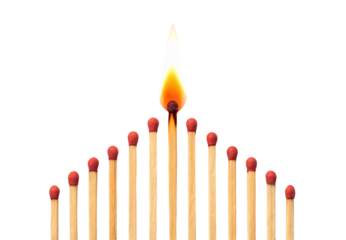 Burning matchstick standing among unlit matches in gradient formation, isolated on a transparent background