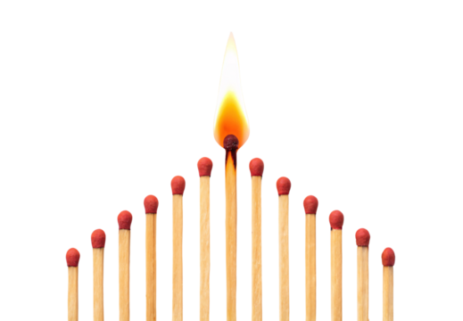 Burning matchstick standing among unlit matches in gradient formation, isolated on a transparent background