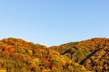 秋の京都の山と夕刻の青空・日本