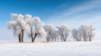 Serene winter landscape with snow-covered trees, vast pristine snow field and clear bright blue sky, capturing nature’s winter essence and radiating tranquility, beauty and peaceful wintry charm.