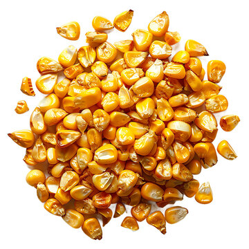 Pile of dried corn kernels isolated on transparent background